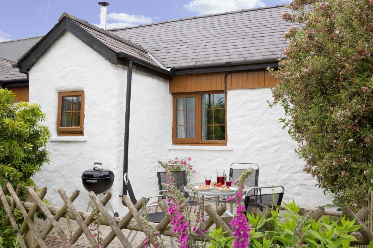 Croft Farm & Celtic Cottages Cardigan Exterior photo